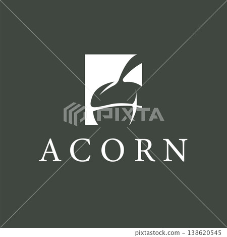 Acorn logo simple and clean for modern brand identity 138620545