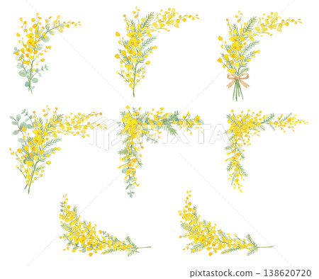 Watercolor Mimosa Botanical Frame Set Watercolor Mimosa Botanical Frame Set 138620720