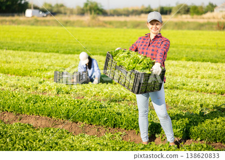 Happy young female farmer posing on plantation with harvested green lettuce 138620833