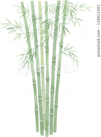 Japanese-style illustration background featuring watercolor paintings of bamboo and bamboo leaves. 138621481