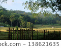Rural Landscape with Wooden Fence, Green Fields, and Forest Hill 138621635
