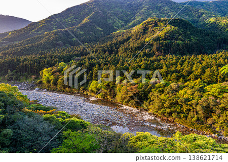 The dazzling dawn amidst the fresh greenery of Yakushima, where gods reside (Spring) The dazzling dawn amidst the fresh greenery of Yakushima, where gods reside (Spring) 138621714