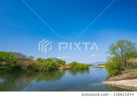 Katsura River scenery, trees in fresh green leaves, Kyoto City 138621854