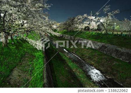 Yamazaki River, where cherry blossoms are in full bloom at night Yamazaki River, where cherry blossoms are in full bloom at night 138622062
