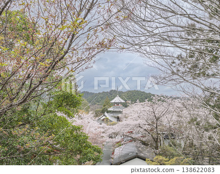 千年呼吸。櫻花盛開,春意盎然,吉野山脈美不勝收。 千年呼吸。櫻花盛開,春意盎然,吉野山脈美不勝收。 138622083