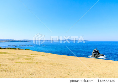 Sakyobana in spring, Iki City, Nagasaki Prefecture Sakyobana in spring, Iki City, Nagasaki Prefecture 138622380