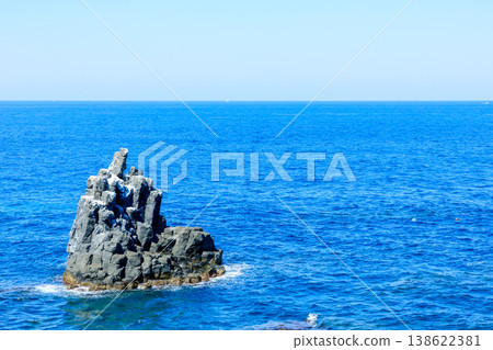 Sakyobana in spring, Iki City, Nagasaki Prefecture Sakyobana in spring, Iki City, Nagasaki Prefecture 138622381