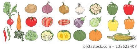 A set of illustrations of various types of vegetables A set of illustrations of various types of vegetables 138622407