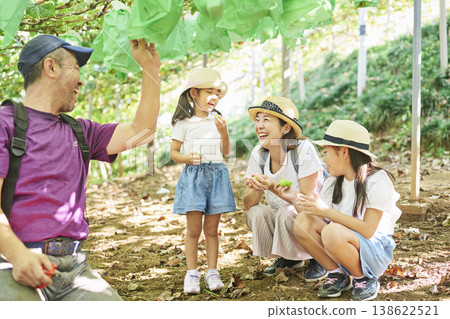 A mother and daughter eating Shine Muscat grapes in a vineyard, along with the producer. A mother and daughter eating Shine Muscat grapes in a vineyard, along with the producer. 138622521