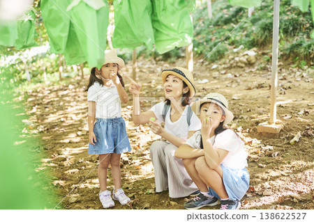 A mother and daughter look up at the bagged grapes. A mother and daughter look up at the bagged grapes. 138622527
