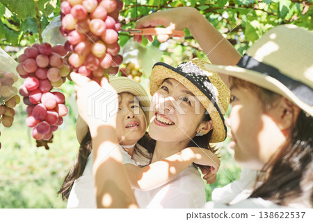 一位母親用剪刀採紅葡萄，她的女兒們在一旁觀看。 138622537