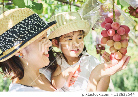 A little girl cutting red grapes with scissors with her mother. A little girl cutting red grapes with scissors with her mother. 138622544