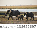 The natural beauty of Botswana 138622697