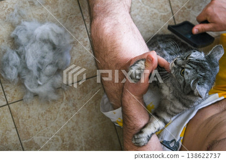 A cat laying on a pile of white cat hair 138622737
