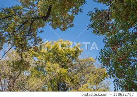 Yodo Castle Ruins Park in the fresh greenery, Fushimi Ward, Kyoto City 138622793