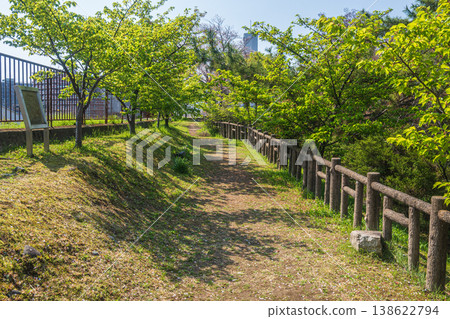 京都市伏見區淀城遺址公園綠樹成蔭,景色宜人 京都市伏見區淀城遺址公園綠樹成蔭,景色宜人 138622794
