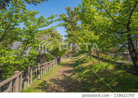 京都市伏見區淀城遺址公園綠樹成蔭，景色宜人 138622797