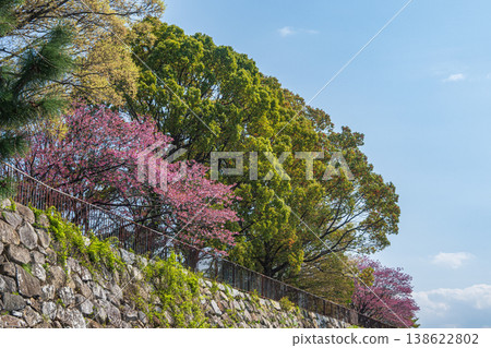 京都市伏見區淀城遺址公園綠樹成蔭,景色宜人 京都市伏見區淀城遺址公園綠樹成蔭,景色宜人 138622802