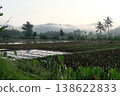 Misty Morning over Rural Rice Paddy Fields 138622833