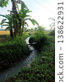 Small stream flowing through a rural landscape with banana trees 138622931