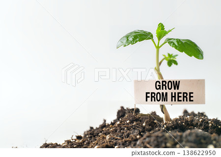 這是一份充滿希望的成長記錄，展示了生長在肥沃土壤中的植物幼苗和代表其發育開始的木盤。 138622950