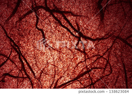 Red fiber-reinforced washi paper texture material Red fiber-reinforced washi paper texture material 138623084
