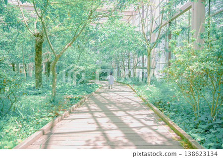 孩子們在綠植和昆蟲間嬉戲 孩子們在綠植和昆蟲間嬉戲 138623134