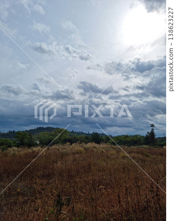 Grassland with cloudy sky 138623227