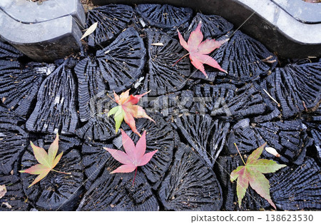 楓葉散落在埋在花園地面的木炭上。 楓葉散落在埋在花園地面的木炭上。 138623530