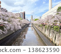Cherry blossoms along the river 138623590