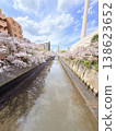 Cherry blossom 138623652
