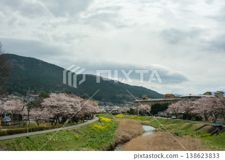 Yufu, Oita, Japan - March 30, 2026: Cherry blossom trees lining a riverside path with town and mountain landscape in spring Yufu, Oita, Japan - March 30, 2026: Cherry blossom trees lining a riverside path with town and mountain landscape in spring 138623833