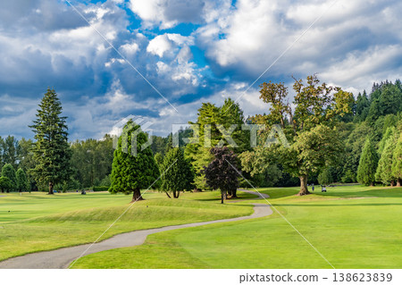 Public park. Nature of forest. Green forest wood landscape in summer. Path way. Nature of forest. Landscape of meadow at park. Summer park zone nature. Scenic landscape of woodland. Walking path Public park. Nature of forest. Green forest wood landscape in summer. Path way. Nature of forest. Landscape of meadow at park. Summer park zone nature. Scenic landscape of woodland. Walking path 138623839