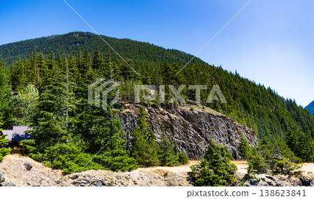 Forest in summer nature. Forest environment. Green nature. Coniferous tree growing on mountain hill. Nature landscape. Landscape with forest in summer. Evergreen nature. Wood rocky forest Forest in summer nature. Forest environment. Green nature. Coniferous tree growing on mountain hill. Nature landscape. Landscape with forest in summer. Evergreen nature. Wood rocky forest 138623841