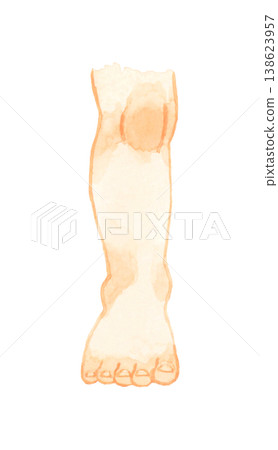Standing child's right foot (barefoot, front view) - Hand-drawn watercolor illustration of a human body part. Standing child's right foot (barefoot, front view) - Hand-drawn watercolor illustration of a human body part. 138623957