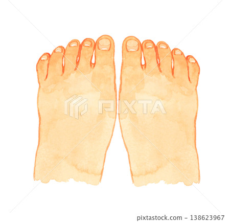 Young person's toenails (barefoot, both feet) - Hand-drawn watercolor illustration of human body parts. 138623967