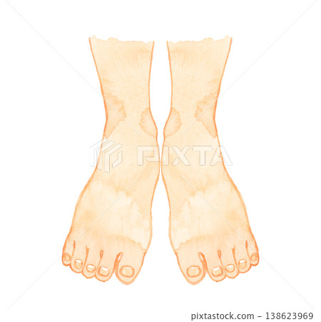 Hand-drawn watercolor illustration of a young person's bare feet (front view) - Human body parts. Hand-drawn watercolor illustration of a young person's bare feet (front view) - Human body parts. 138623969