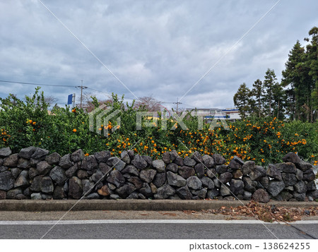 It's a stone wall and a tangerine field on the side of the road. 138624255