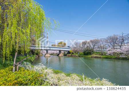 Horikawa River in Spring, Fushimi Ward, Kyoto City 138624435