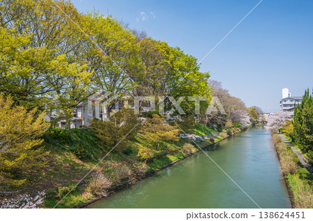 京都市伏見區春天的堀川 138624451