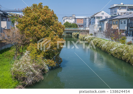 京都市伏見區春天的堀川 138624454