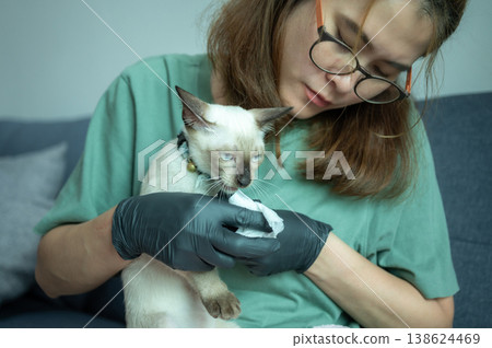 Pet's owner using wet wipes for cleaning kitten Siamese cat's paw. Pet's owner using wet wipes for cleaning kitten Siamese cat's paw. 138624469