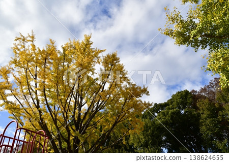 Zenpukuji River Park, Autumn, Playground equipment in the plaza 138624655
