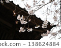 櫻花的風景 138624884