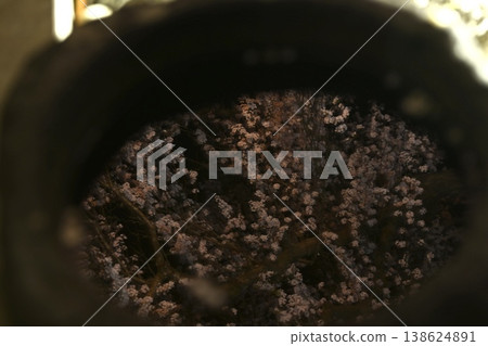 櫻花出現在水面上 138624891