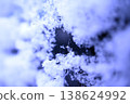 雪花 138624992