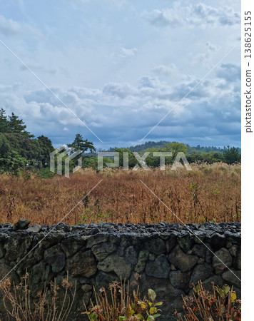 This is a grassland landscape of Jeju Island. 138625155