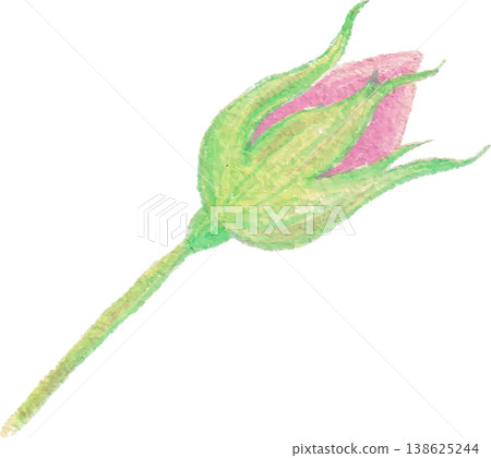 Rose watercolor floral clipart delicate botanical flower Rose watercolor floral clipart delicate botanical flower 138625244