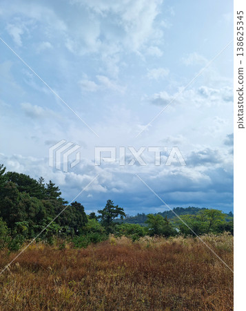 Grassland with cloudy sky 138625345