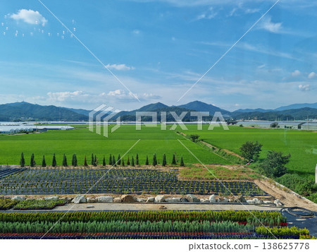 sky and rice fields sky and rice fields 138625778
